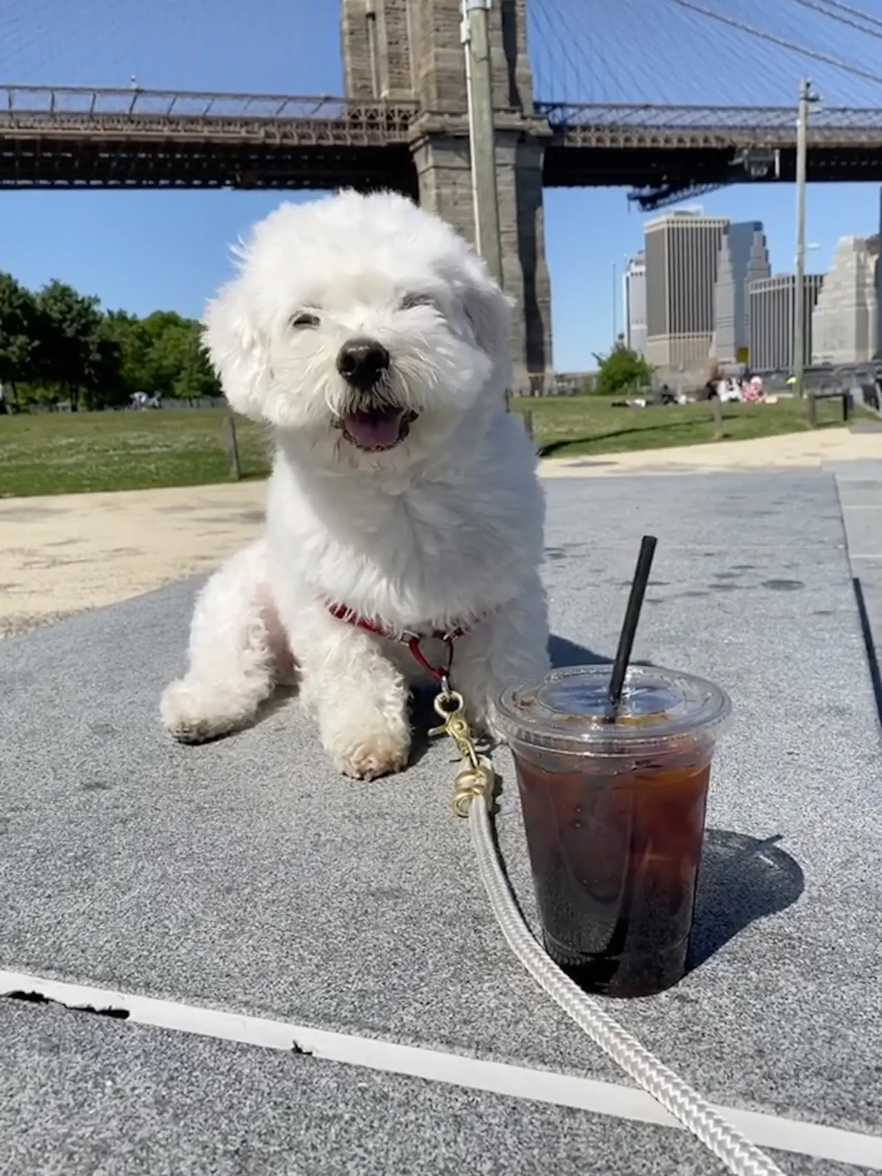 Titus sitting near a soft drink